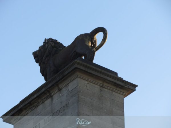 le lion