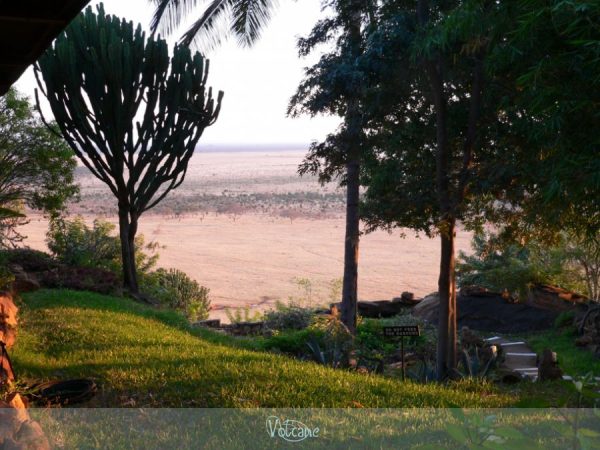 Savane au Kenya vue d'un Lodge