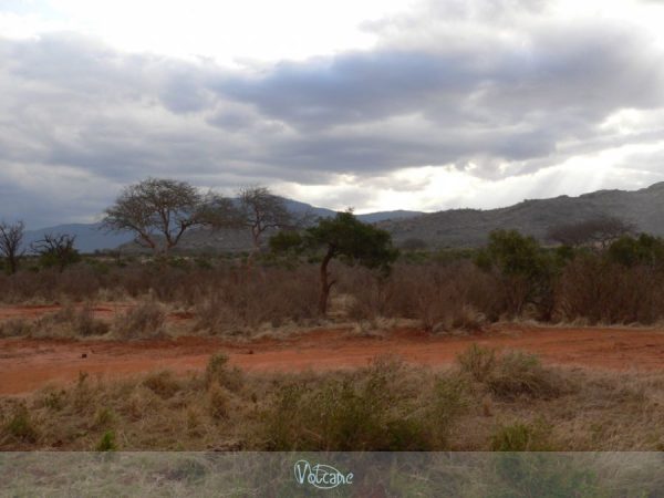Lever du jour dans la savane au Kenya