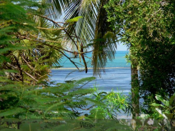 Plage du Kenya