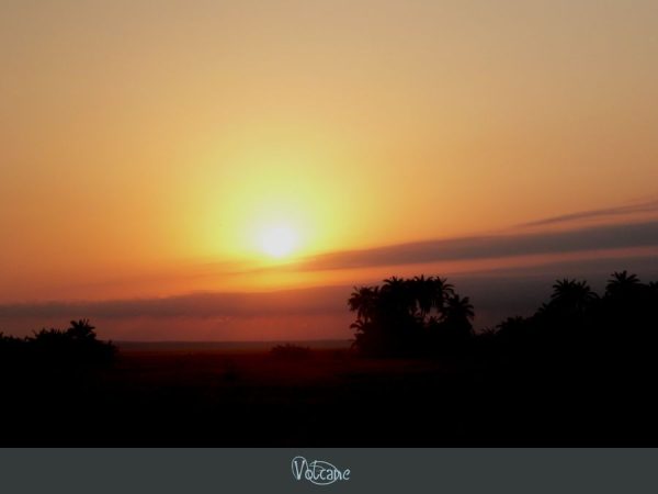 Lever du soleil sur la savane au Kenya