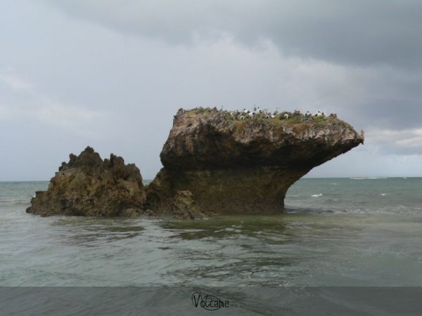 Rocher dans la mer au Kenya